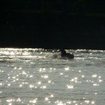 Glitzerndes Wasser